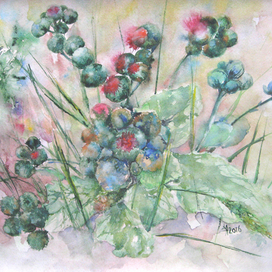 Чертополоховый куст. Акварель. Открытка. Цветы