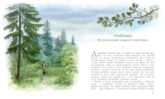 Приемыш. Дождливый день. 