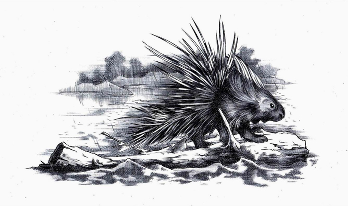 Молниеносный. 7-0