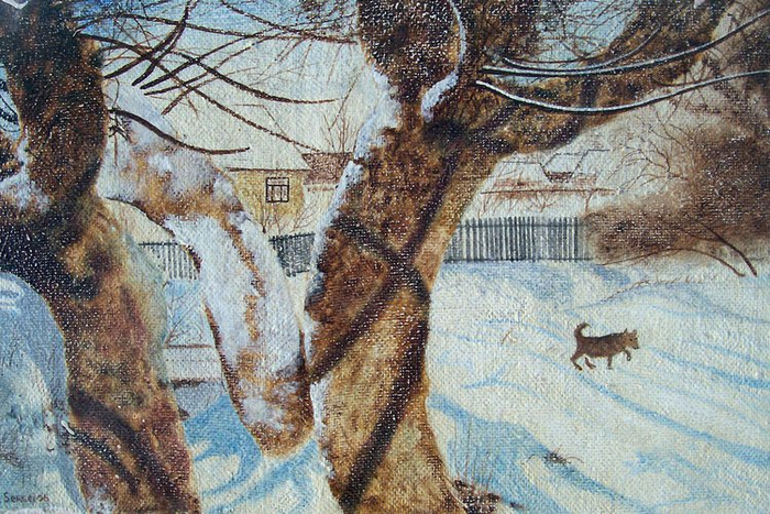 Глубокие тени морозного утра.