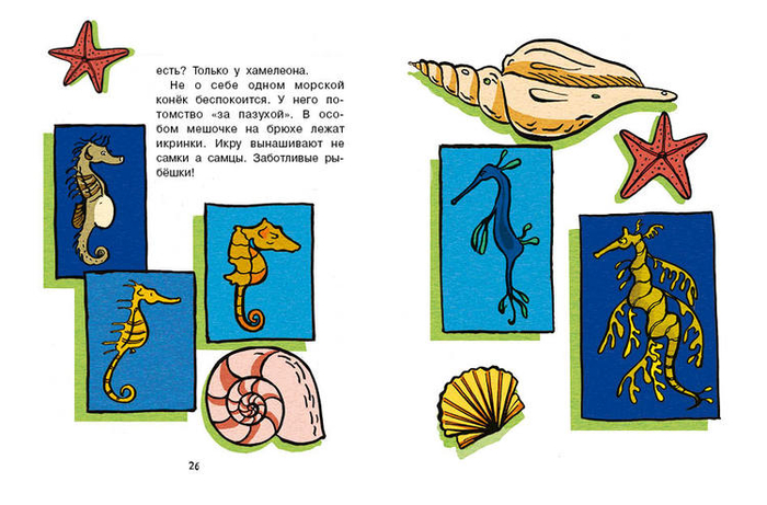 Кто без крыльев живет_13