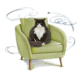 Кот. Злой, а может просто недовольный.