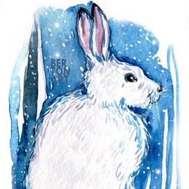 Зимние Звери. Серия открыток. 