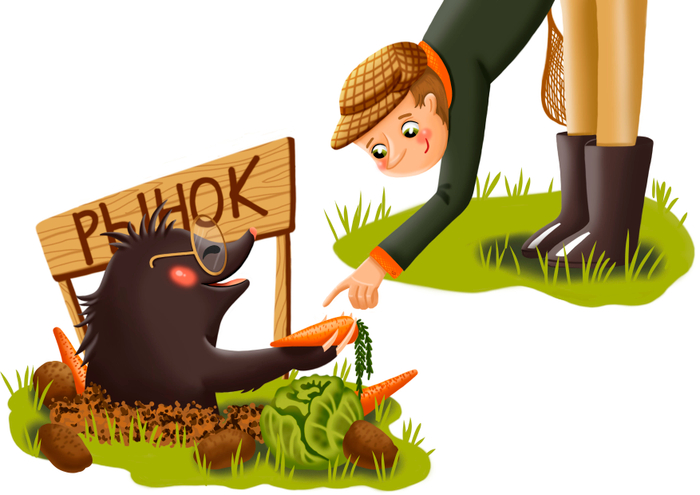 Кротовий рынок