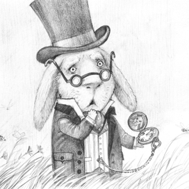 Поиски. Белый кролик.