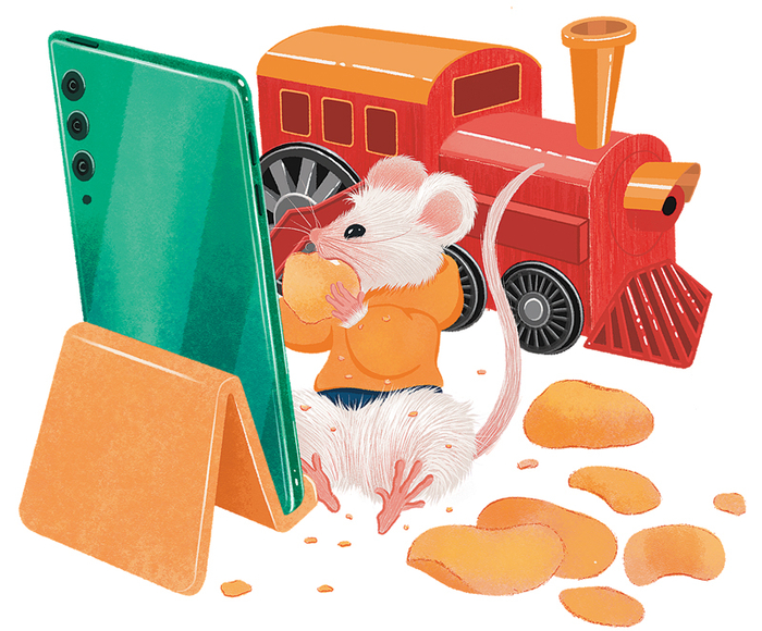 Мыш Саня и телефон