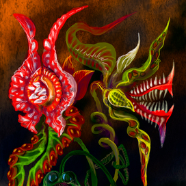 Цветы из сада колдуньи