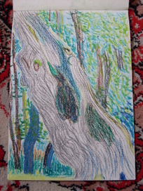 дуб пушкина