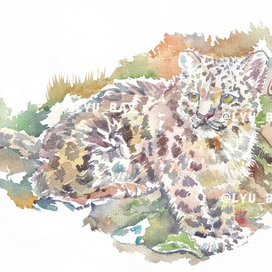 Снежный барс_акварель