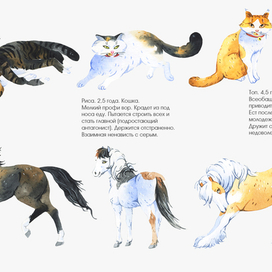 Коты____Лошади