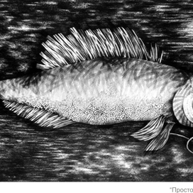 Мои фантазии