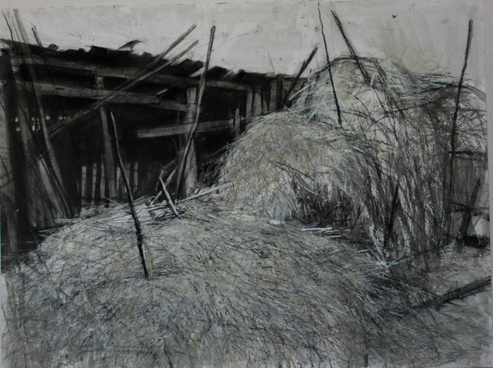 сено. в деревне