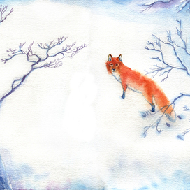 Снежный лис.