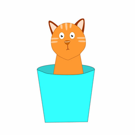 Котик в ведре