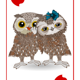 Двойка чеврей, парочка