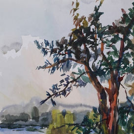 Вечерний луч