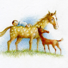 Коники- коники...