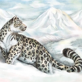 Снежный барс