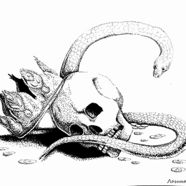 royaume des serpents