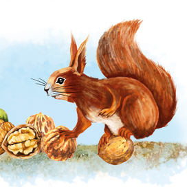 Иллюстрация к сказке "Белка"