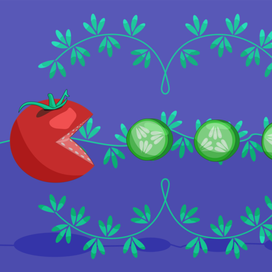 Пакмэн помидор