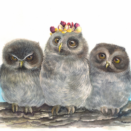 Я у мамы солнышко