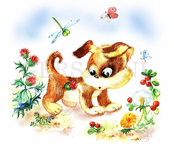 Как-то утром..))