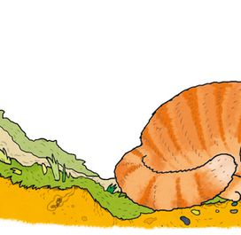 Мышонок Мыша едет в магазин за сыром