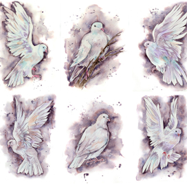 Серия иллюстраций "белые голуби"