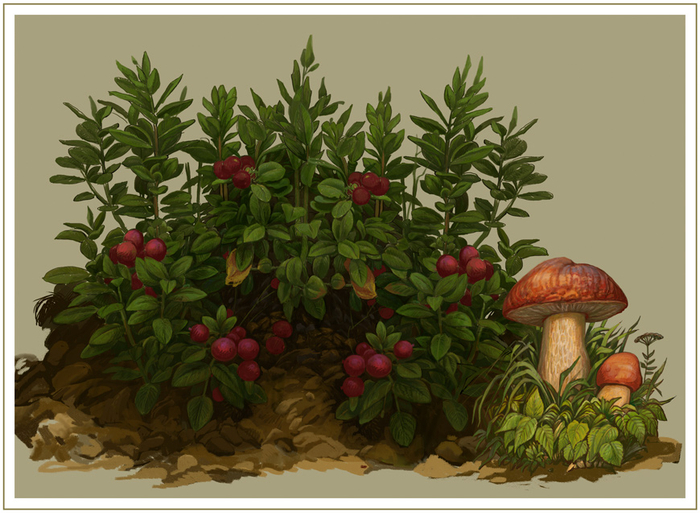 лесная ягода-2016