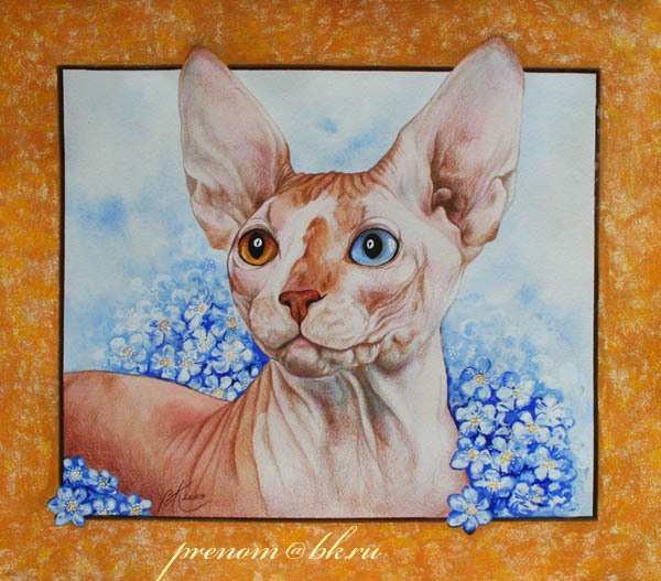 Канадское чудо