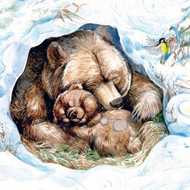 Как зимуют звери