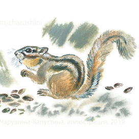 Иллюстрация к сборнику рассказов Г. Снегирёва "Ночные колокольчики"