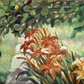 Яблочки зреют