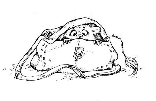 Пушок и Пушистый_прятки