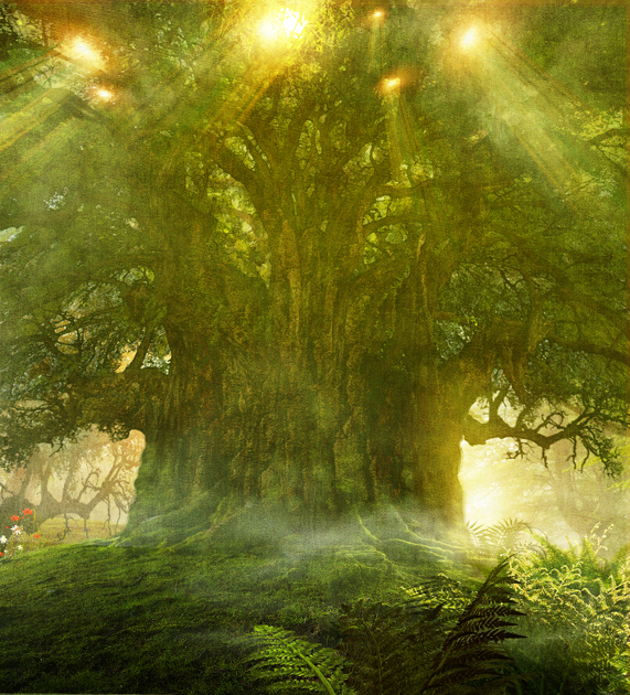 "Светлячек" фон