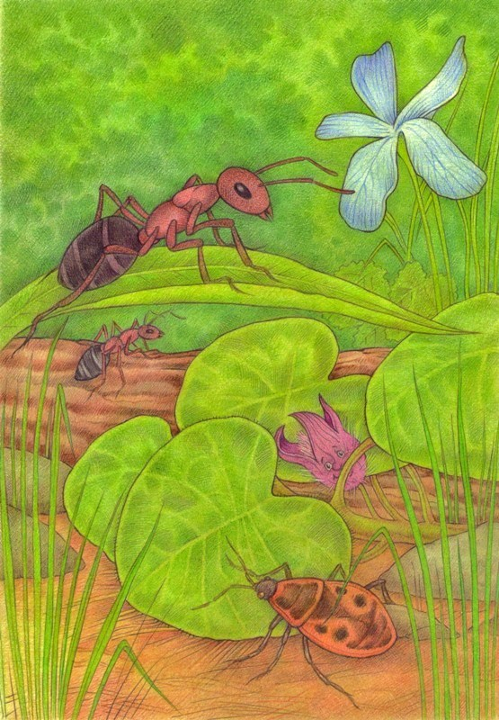 "Солдатик" на территории!