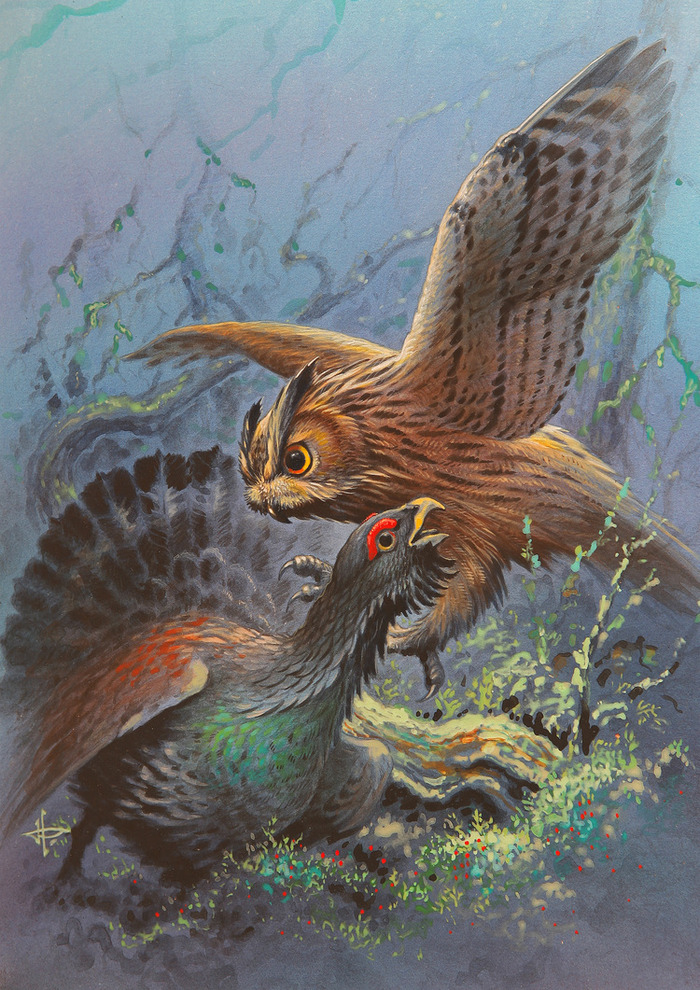 Ночной охотник .