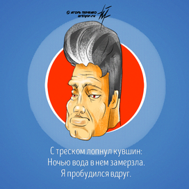 Портрет сакурая Басё