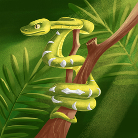 Змея в засаде