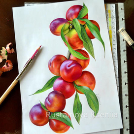 Фрукты. Нектарины