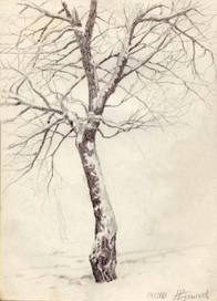 Зимнее дерево