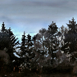 Хвойный лес