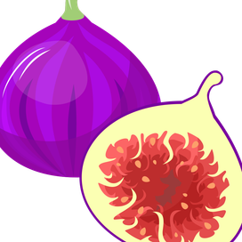 Иллюстрации для школы английского языка