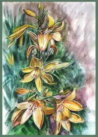 Желтые лилии