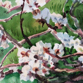 Пришла весна