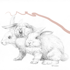 Трехголовый кролик Бубенчик