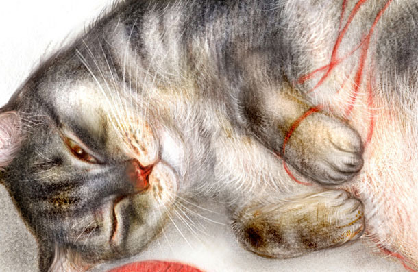 Кошка с клубочком деталь