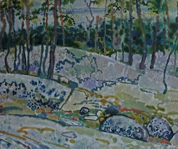 Северная ночь