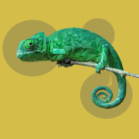 Хамелеон